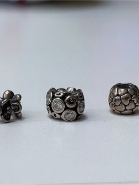 Sterling Silver Pandora Charms